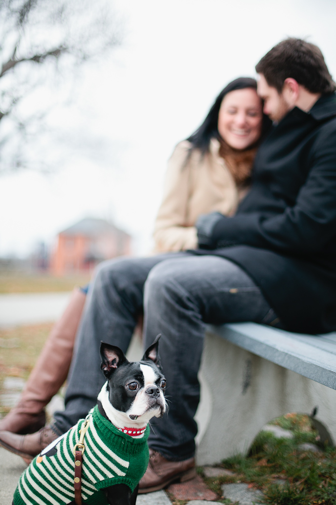 toronto-wedding-photographer-relaxed-engagement-photos-engagement-photos-at-home-toronto-pet-photographer-janice-yi-photography-12.jpg