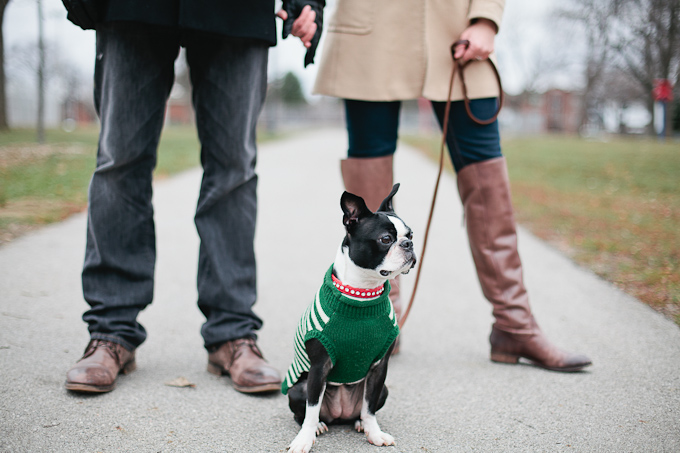 toronto-wedding-photographer-relaxed-engagement-photos-engagement-photos-at-home-toronto-pet-photographer-janice-yi-photography-51.jpg