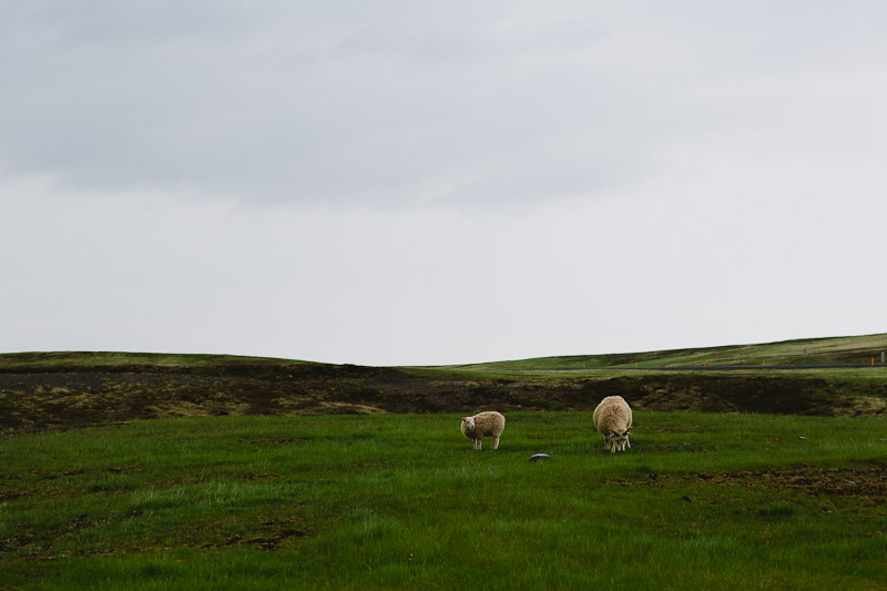 iceland-photos-photography-wedding-2