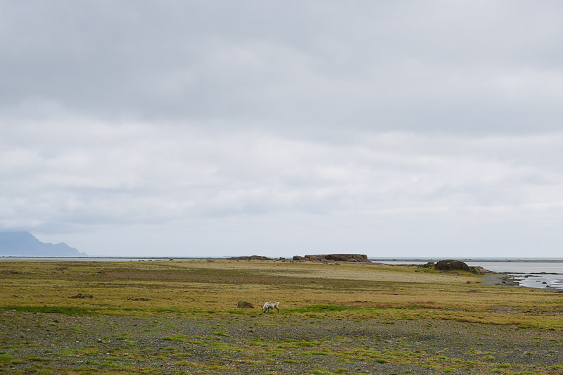 iceland-photos-photography-wedding-47