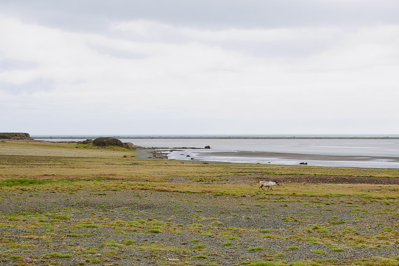 iceland-photos-photography-wedding-48