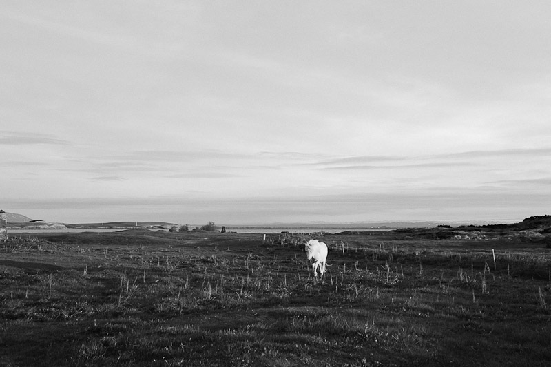 iceland-photos-photography-wedding-59