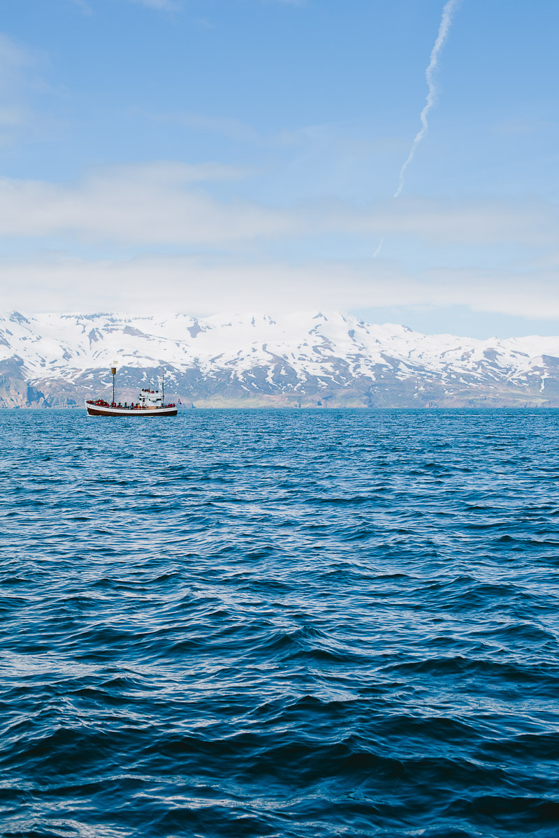 iceland-wedding-photographer-husavik-janice-yi-photography-65