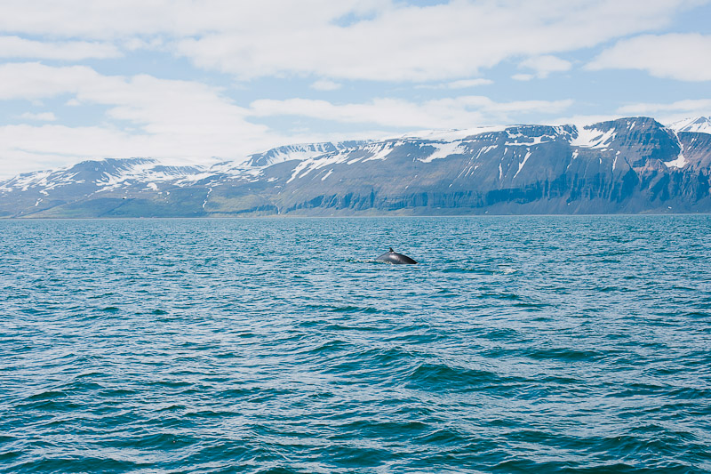 iceland-photos-photography-wedding-67