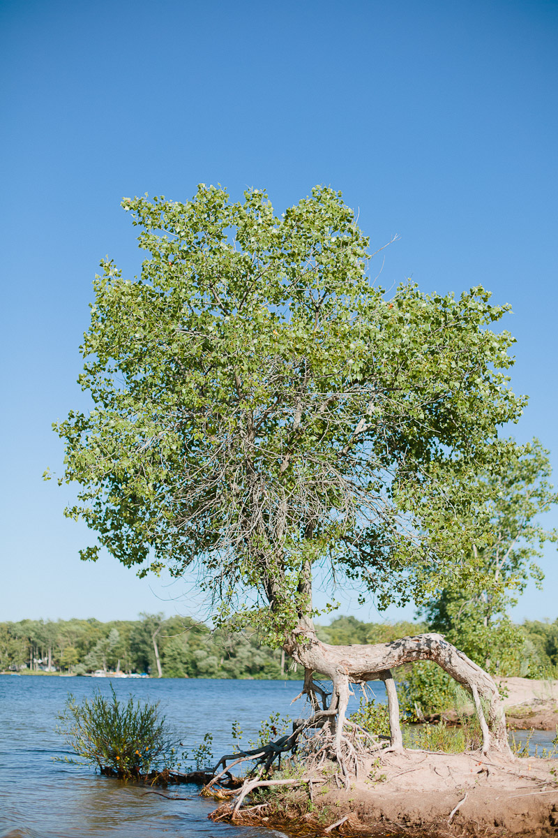 prince-edward-county-wedding-photographer-sandbanks-provincial-park-janice-yi-photography-7.jpg