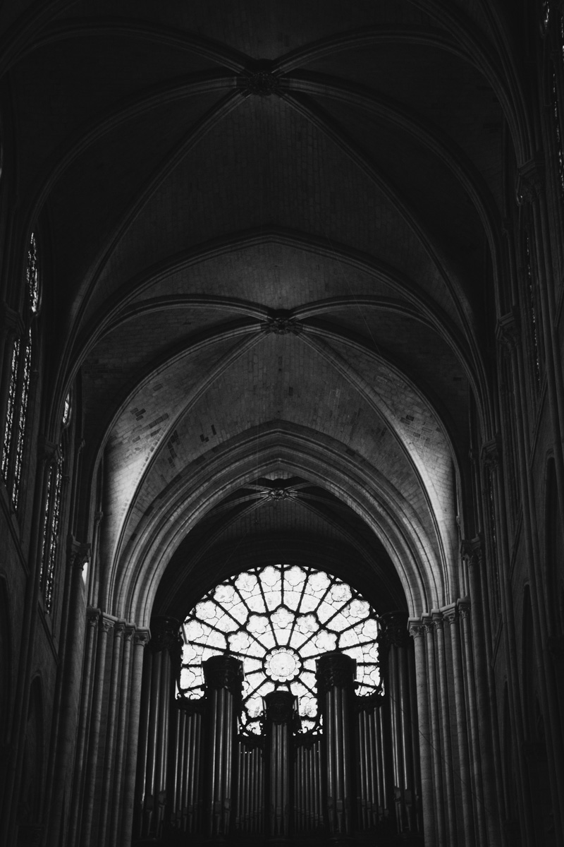 paris-notre-dame-photos-bw-rose-window