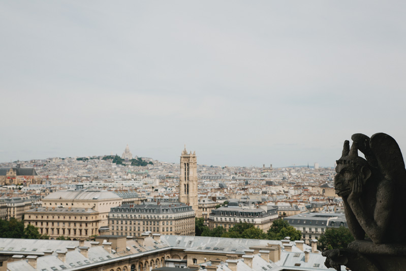 paris-notre-dame-photos-gargoyle-view