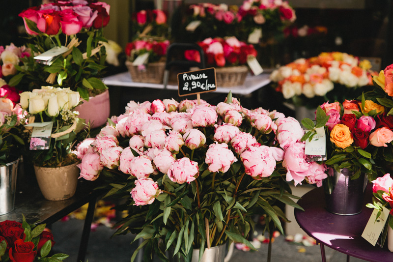 paris-travel-photos-flower-markets-pink-peonies