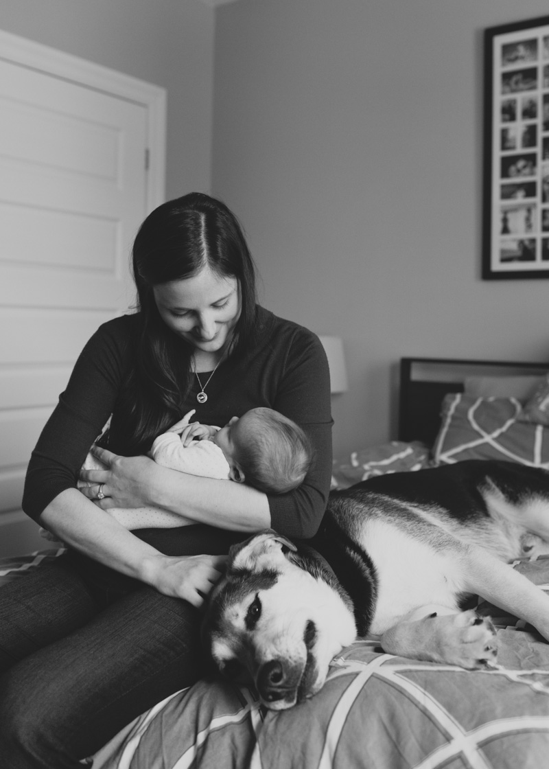 janice-yi-photography-baby-photography-with-pets