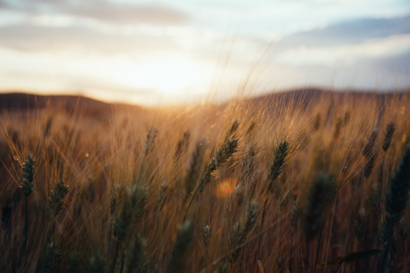 tuscany-photographer