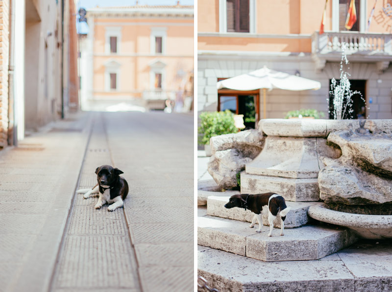 tuscany-photographer-siena-photos-italy-57