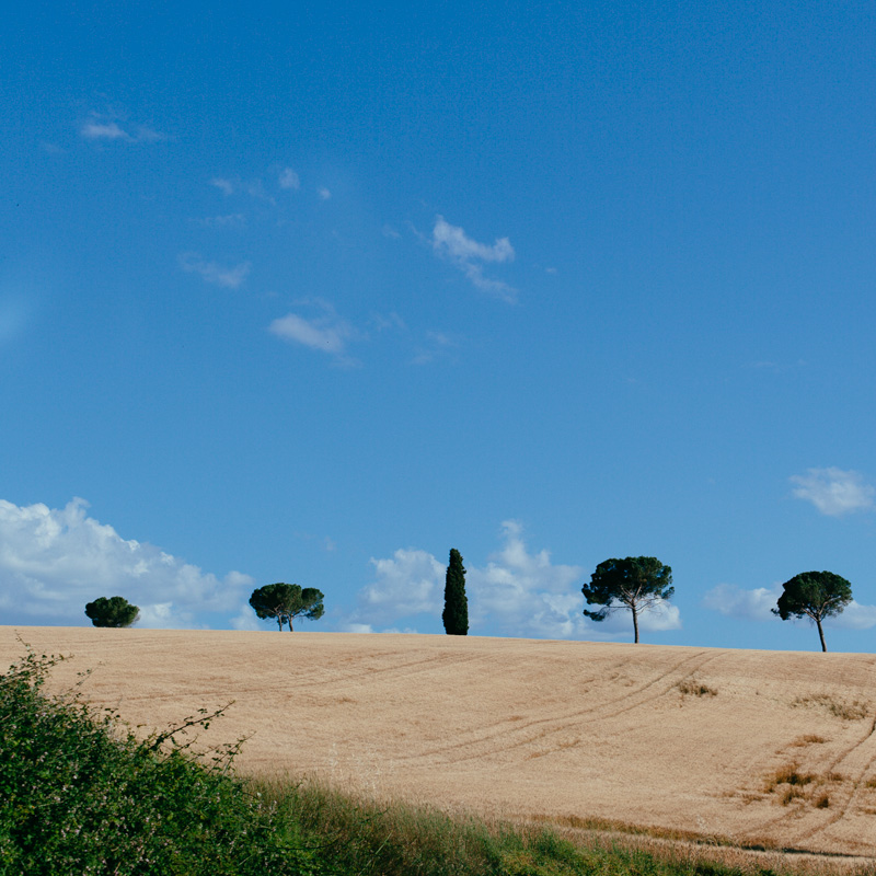 tuscany-photographer-siena-photos-italy-62