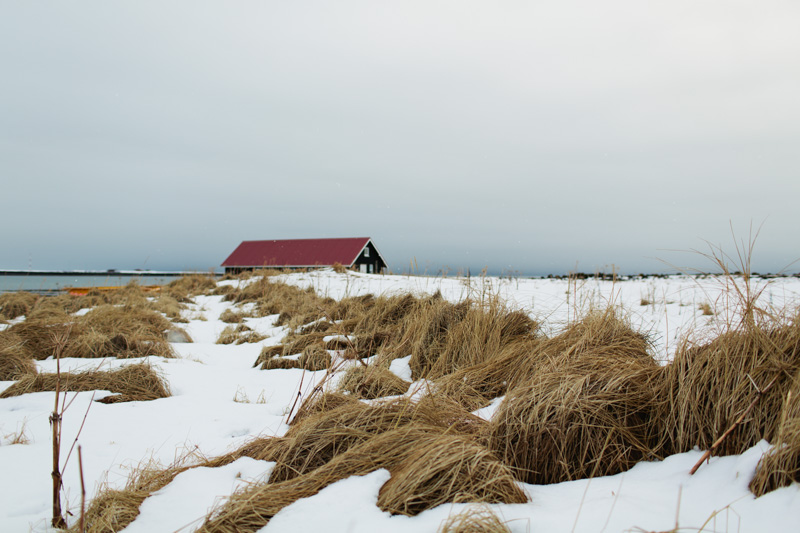 iceland-wedding-photographer-26