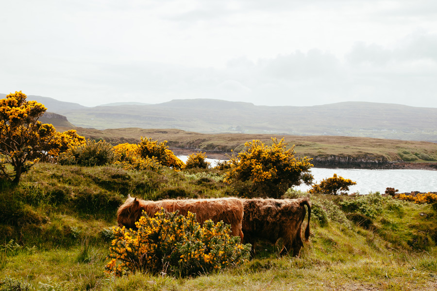 isle-of-skye-photographer019