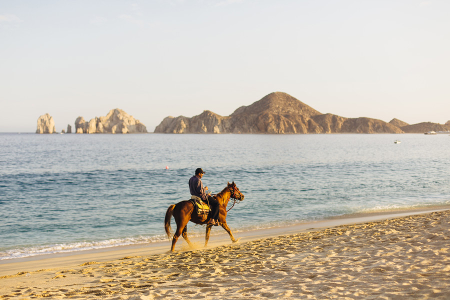 cabo san lucas photography