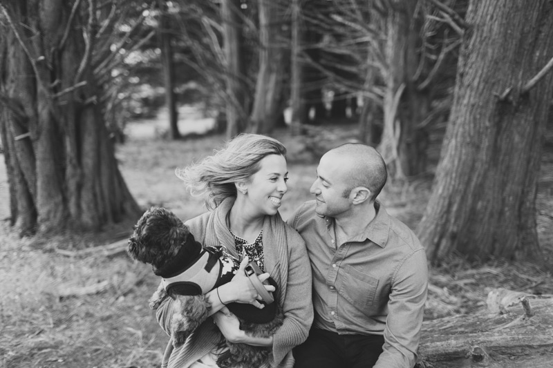 san fran marin headlands engagement