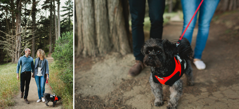 engagement pictures with your dog