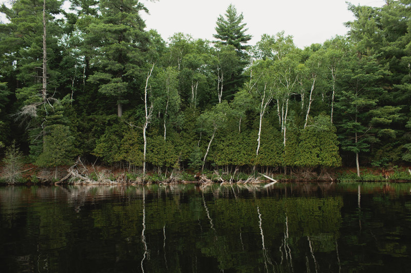 quiet lake waseosa muskoka