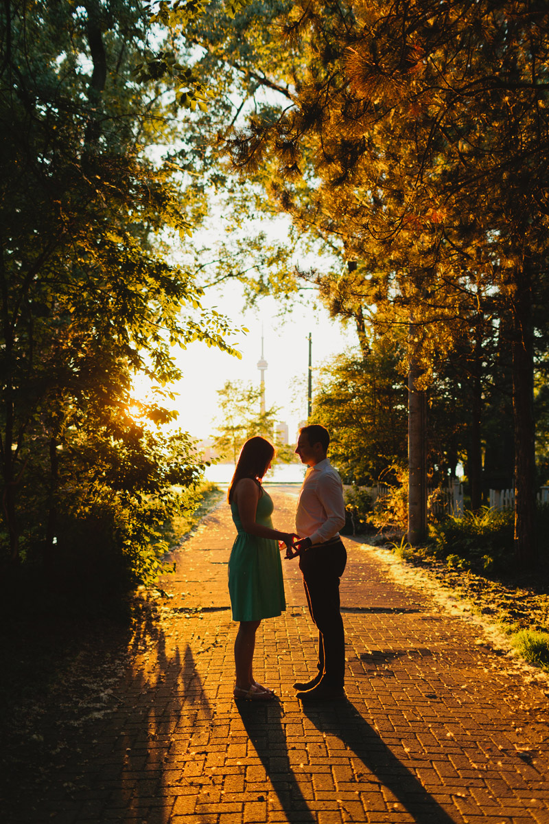 engagement session on wards island