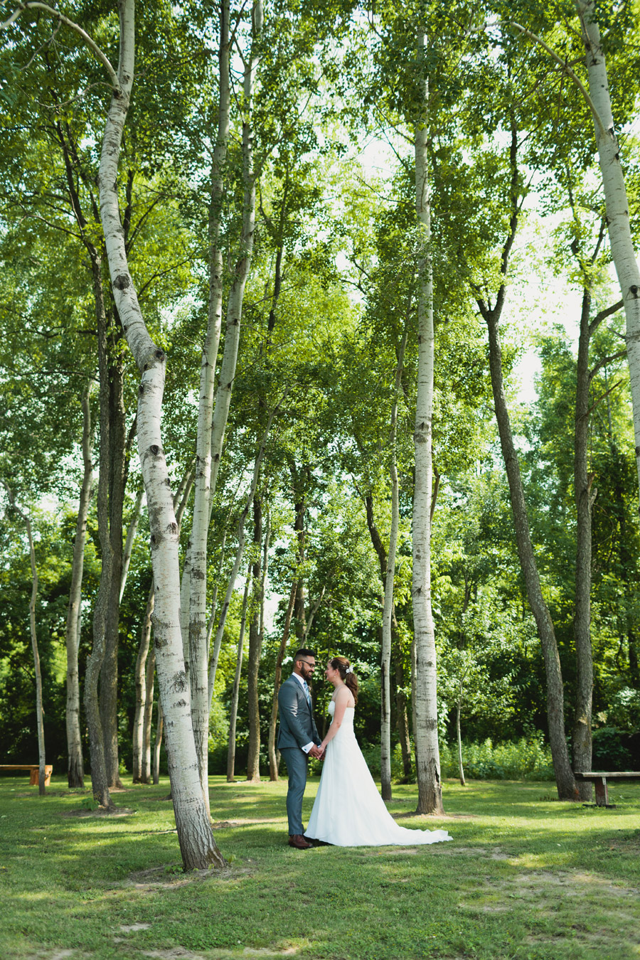 holland marsh winery wedding