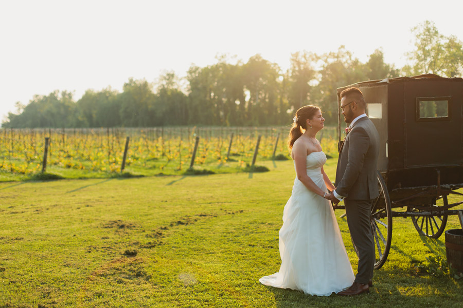 holland marsh winery wedding photos