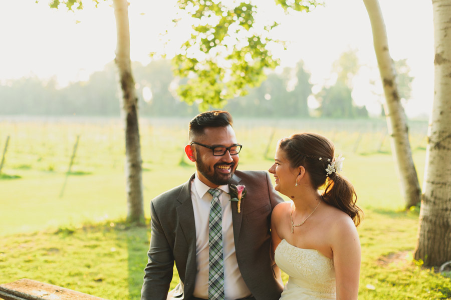 wedding pictures at holland marsh winery