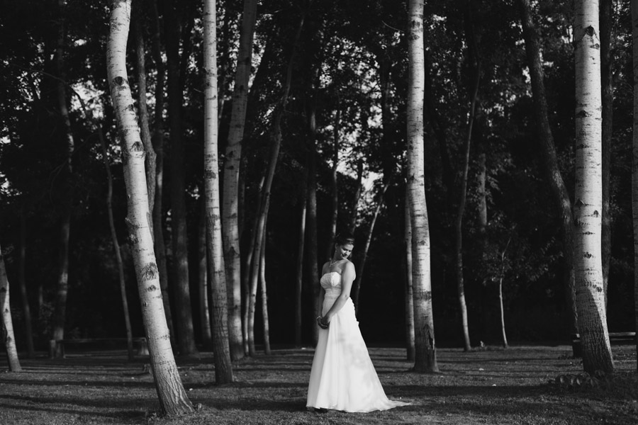 wedding portrait holland marsh winery