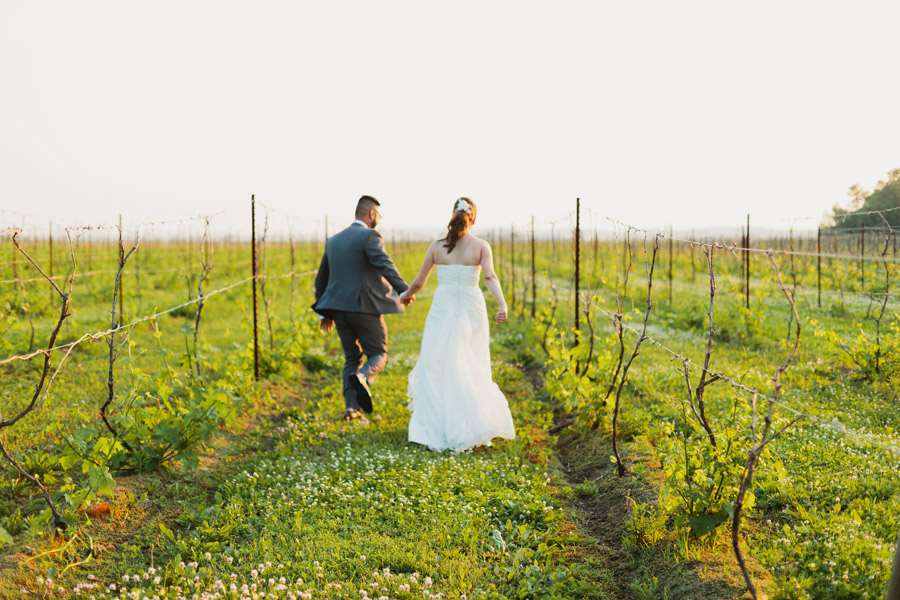 vineyard wedding portraits