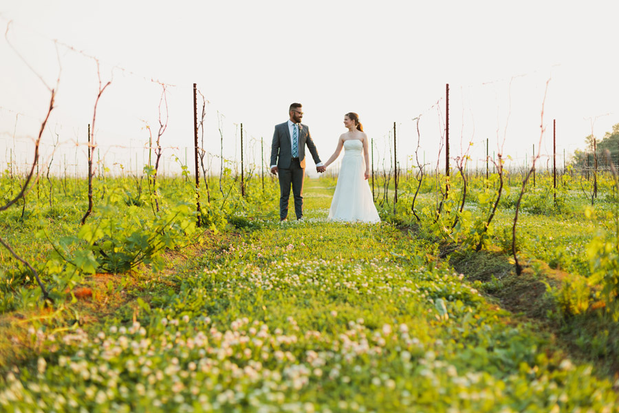 holland marsh winery wedding portraits