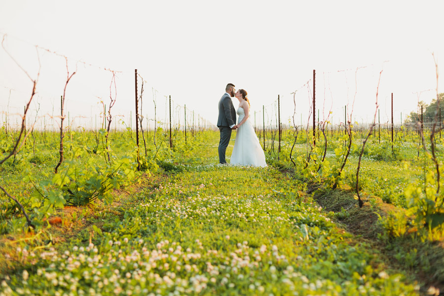 winery wedding portrait ideas