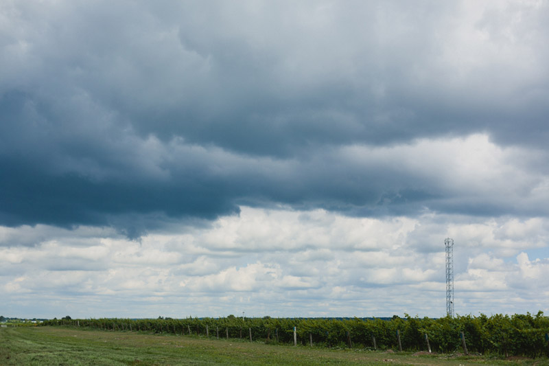 niagara on the lake wineries