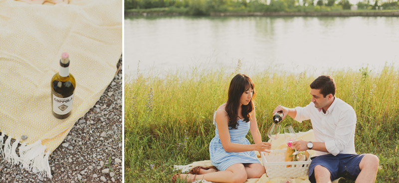 picnic engagement photo ideas