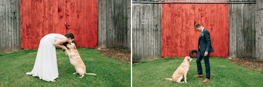 wedding photos with pet