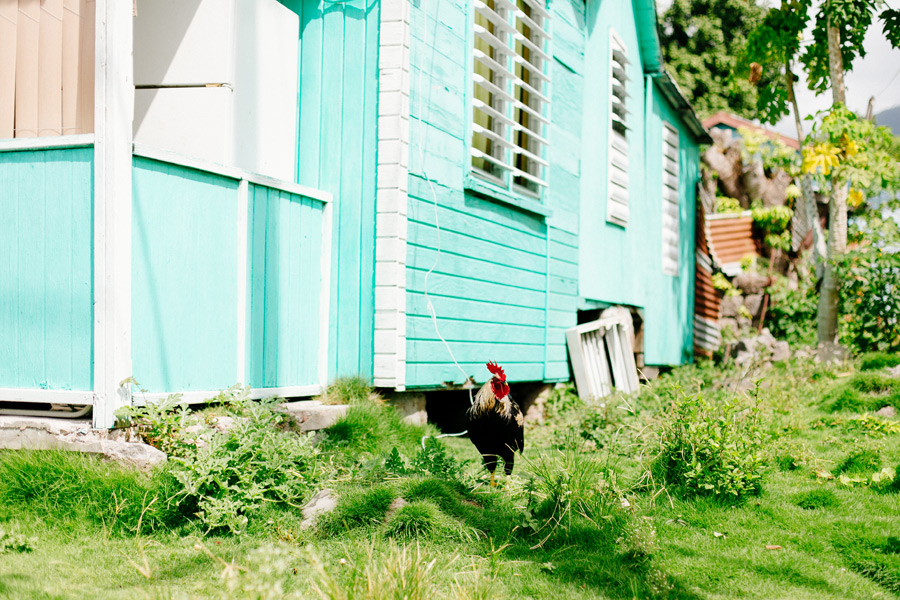 Colourful houses Caribbean