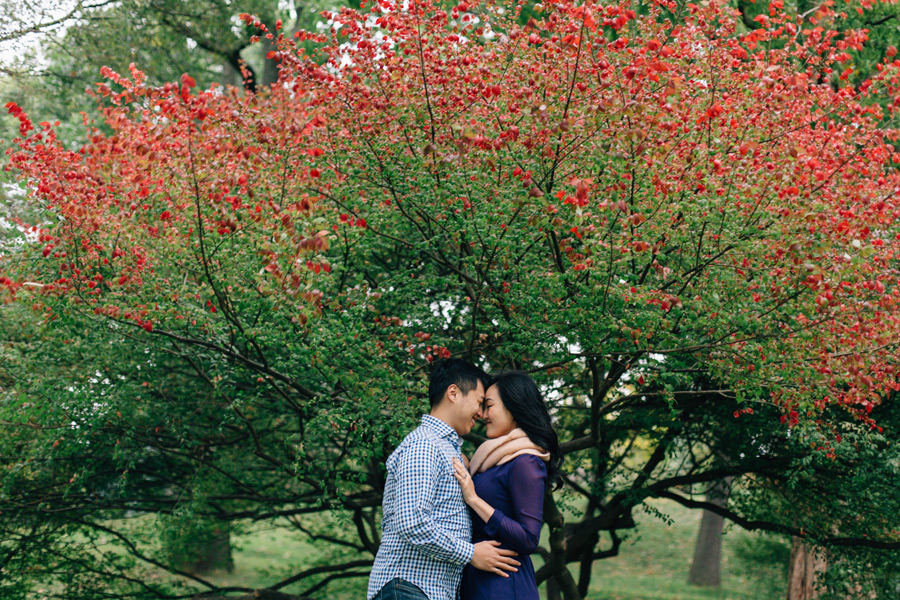 High Park engagement photography