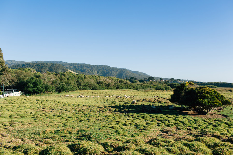 Carmel California