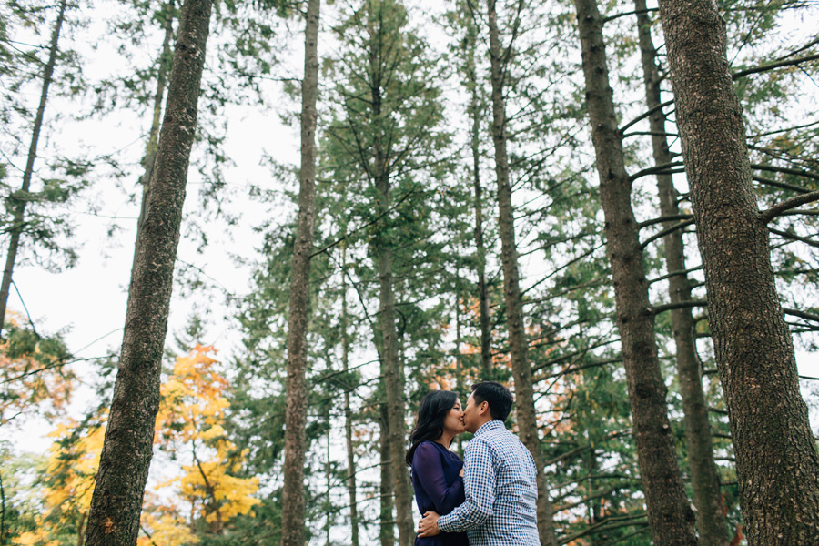 Engagement pictures in High Park