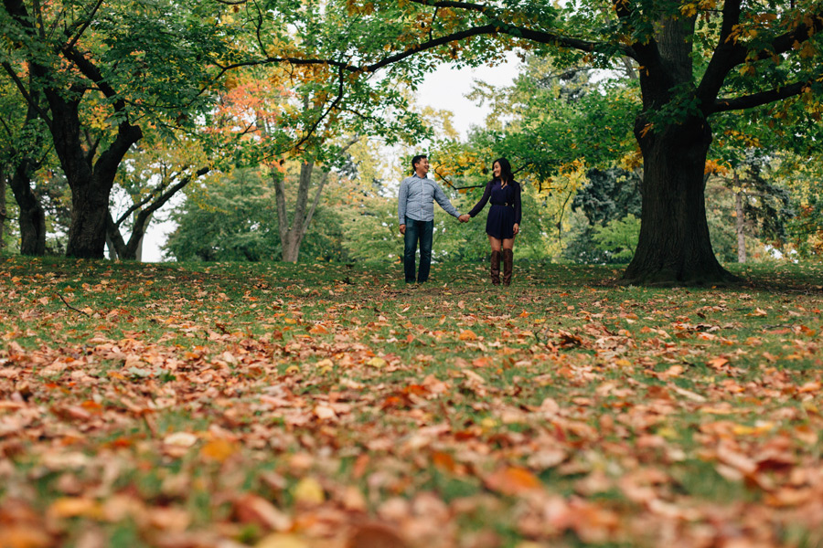 Engagement photos in High Park