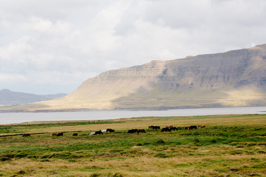 Iceland travel photos
