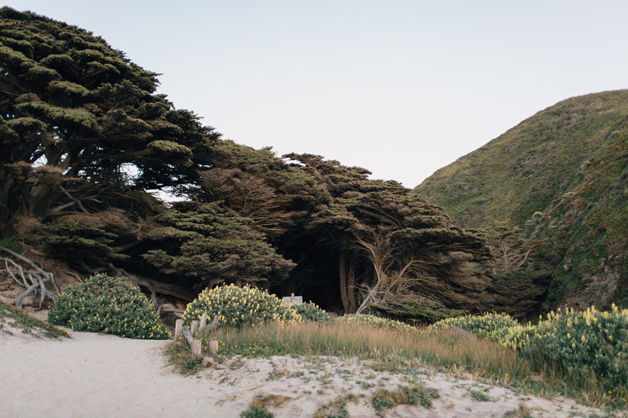 Pfeiffer Big Sur State Park beach