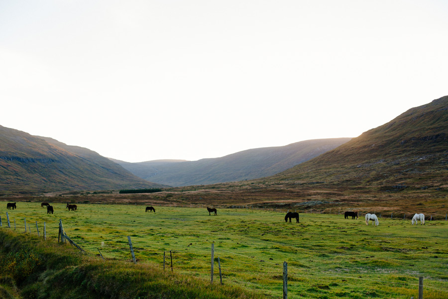 Iceland Westfjord valley