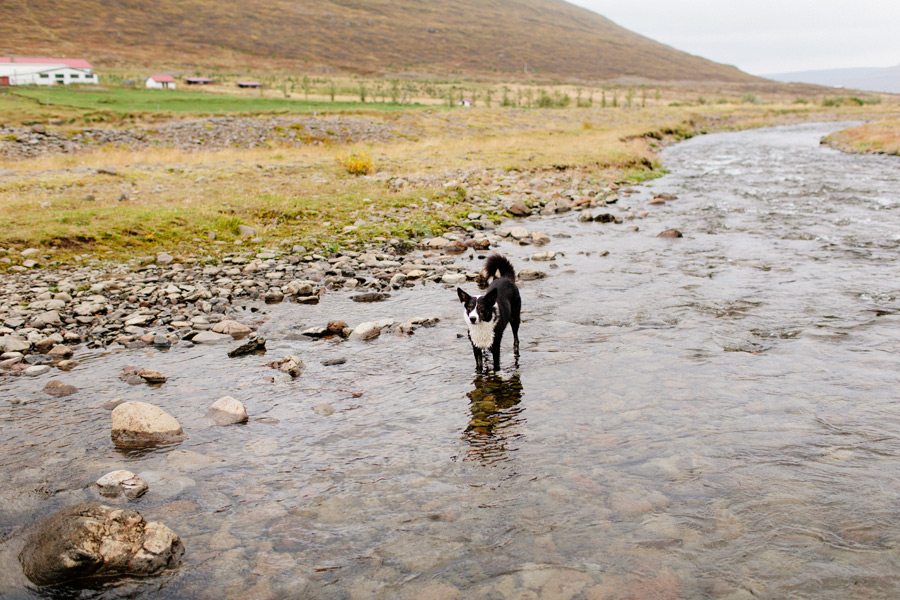 058-Iceland-travel-photography