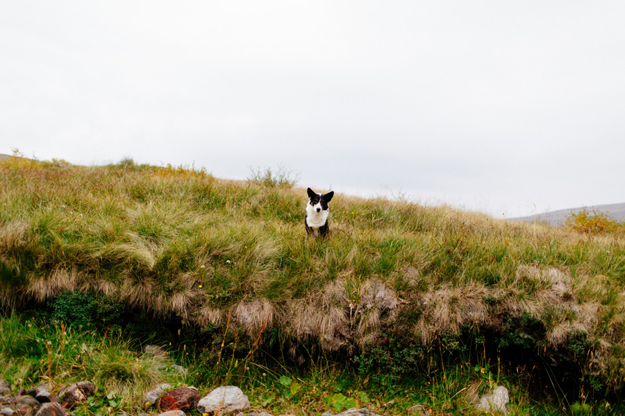 062-Iceland-travel-photography