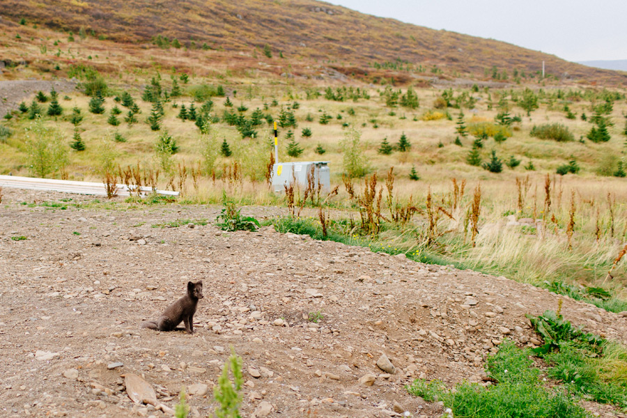 065-Iceland-travel-photography