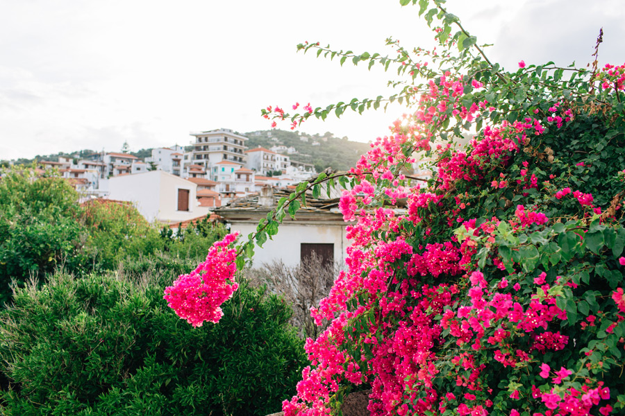 Skopelos the Sporades