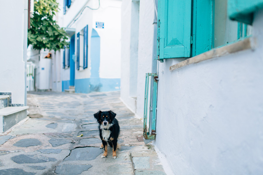 Skopelos Old Town