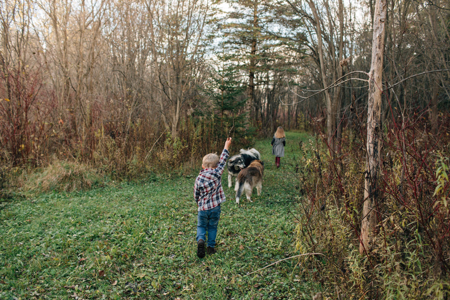 shomberg family photographer