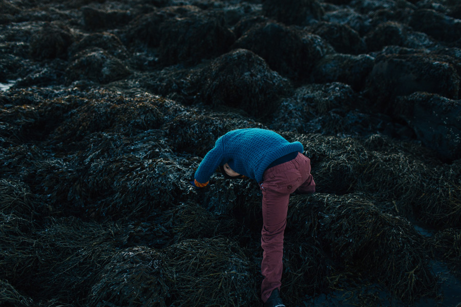 036-iceland-family-photographer