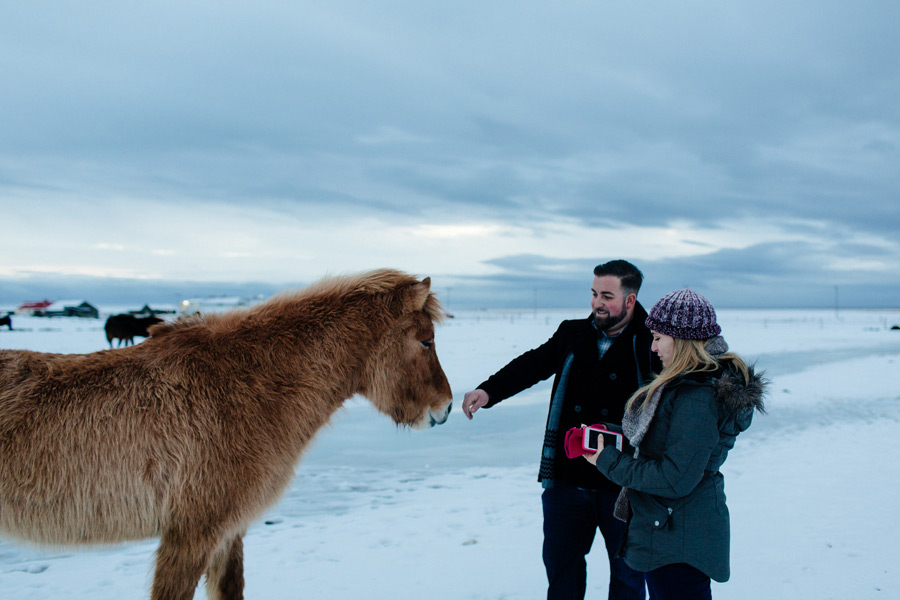 Icelandic horses engagement photos