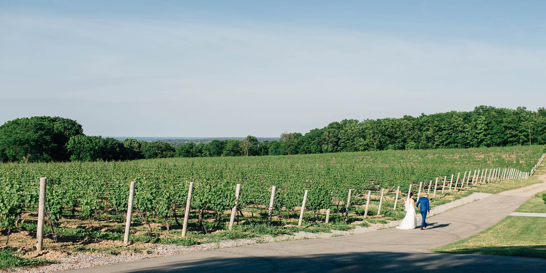 Vineland Estates Wedding